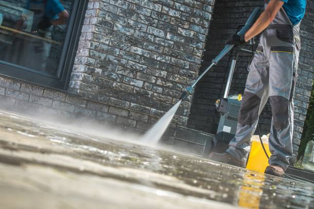 Best Soft Washing for Delicate Surfaces in Three Way, TN