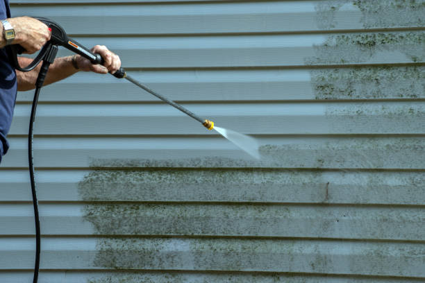 Best Roof Cleaning and Mildew Removal in Three Way, TN
