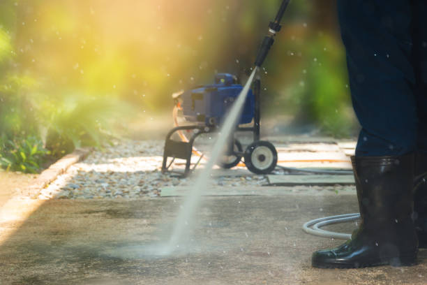 Best Driveway Cleaning and Restoration in Three Way, TN